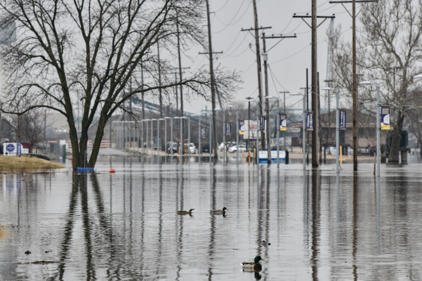 River Drive flooding in Moline
